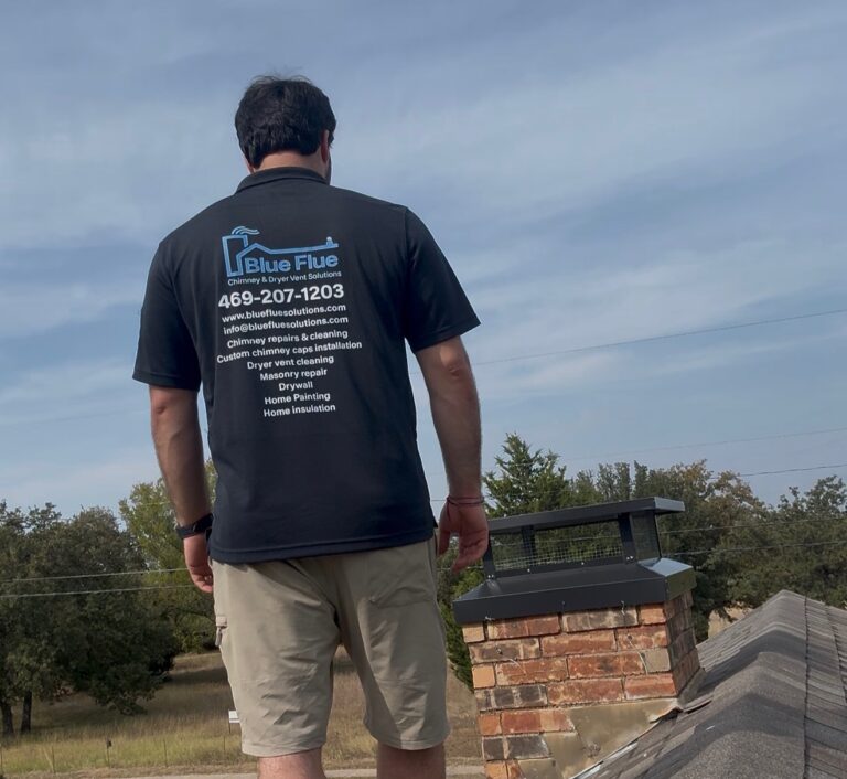 Chimney Inspection BlueFlue