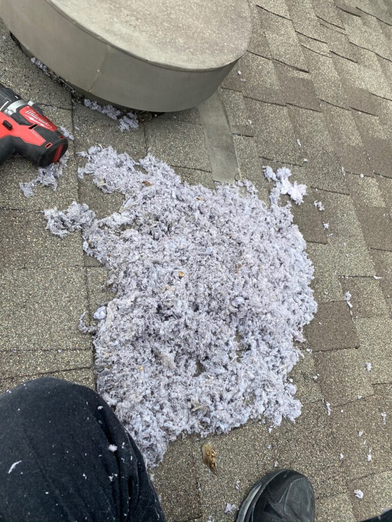 Dryer Vent Cleaning