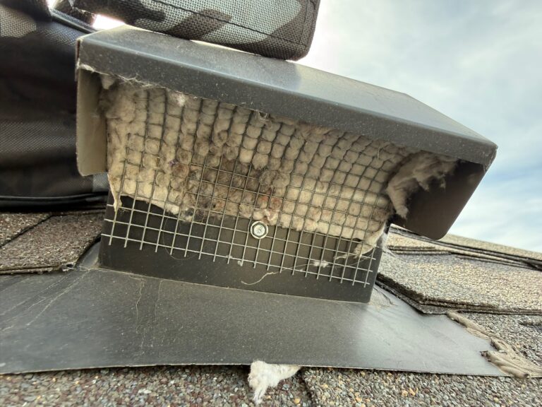 Dryer Vent Cleaning project photo