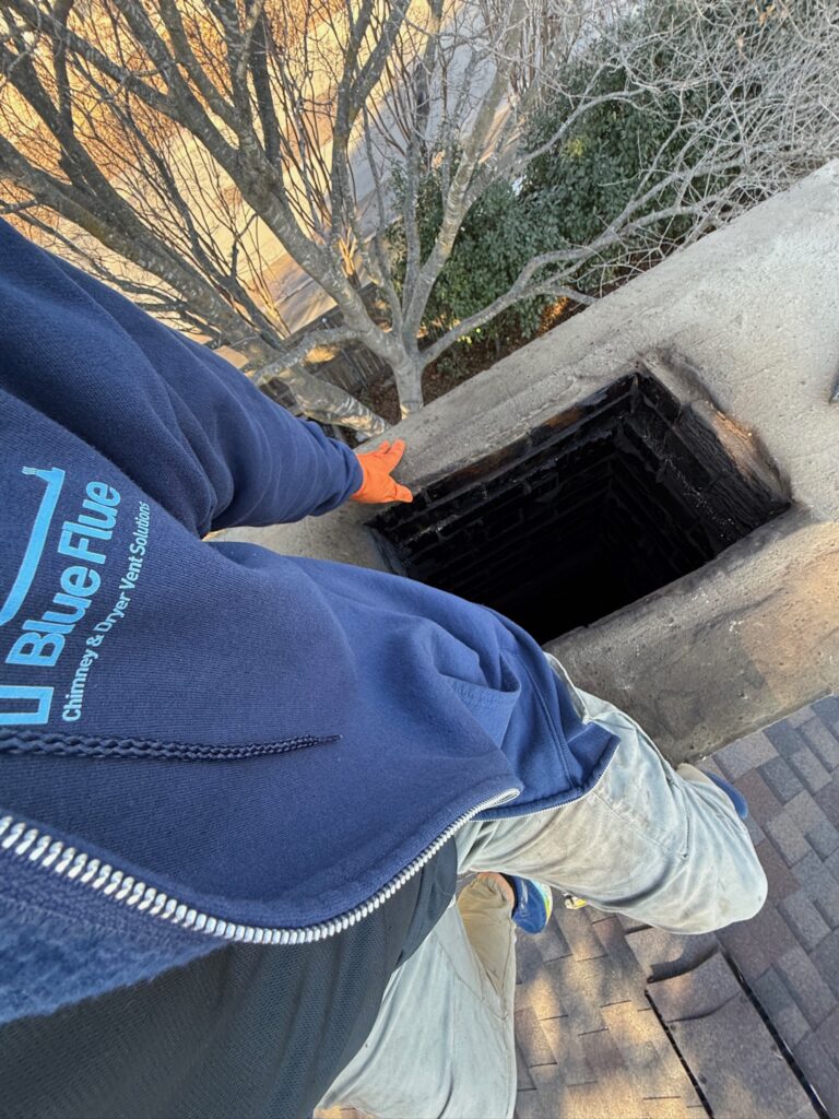 Chimney Inspection BlueFlue