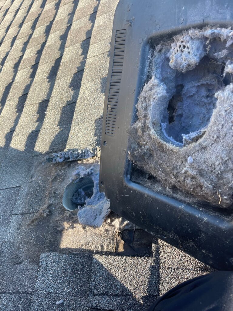 Dryer Vent Cleaning
