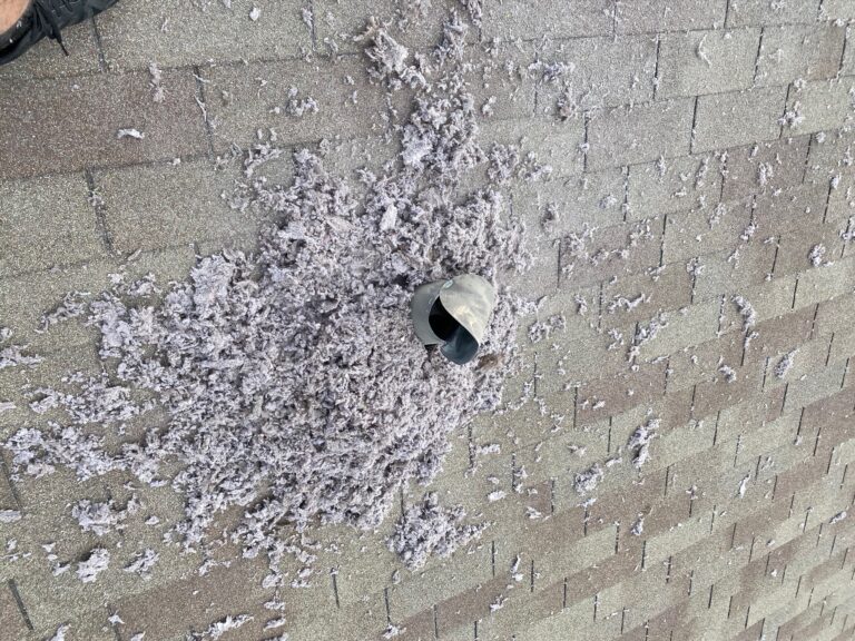 Huge Amount Of Lint