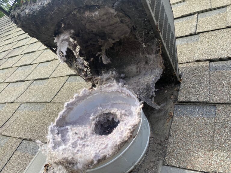 Dirty Dryer Vent Roof Cover